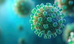 Fiji tuyên bố tình trạng khẩn cấp quốc gia về HIV