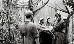 Giữ mạch sống giữa rừng xanh