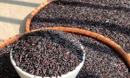 4 lầm tưởng về tinh bột và đường huyết mà người bệnh đái tháo đường nên biết