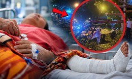 Chồng tử vong tại chỗ, vợ đa chấn thương nghiêm trọng vì nhánh cây rơi trúng