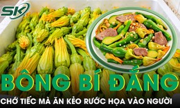 Bông bí đắng gắt chớ tiếc mà ăn kẻo rước họa vào người 