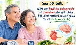 Sau 50 tuổi não thay đổi thế nào, làm gì để bảo vệ trí nhớ?