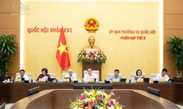 Hôm nay, UBTVQH cho ý kiến dự án Luật An toàn thực phẩm (sửa đổi)