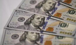 Đồng USD tăng lên mức cao nhất trong gần 2 tháng