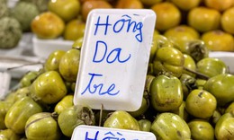 Tiểu thương lý giải giá hồng da tre đắt ngang hoa quả nhập khẩu nhưng vẫn được người tiêu dùng thi nhau tìm kiếm