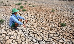 Siêu El Nino quay lại có thể khiến hàng trăm nghìn người chết?
