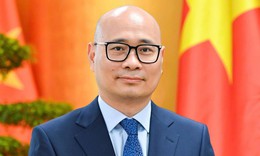 Thủ tướng Chính phủ bổ nhiệm Thứ trưởng Bộ Công Thương