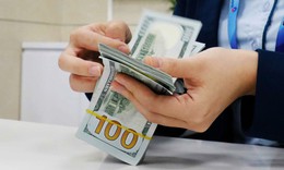 Tỷ giá hôm nay 3/9: Giá USD biến động nhẹ