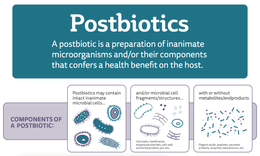 Công nghệ lợi khuẩn Postbiotic – Tiếp cận từ bằng chứng khoa học và thử nghiệm lâm sàng