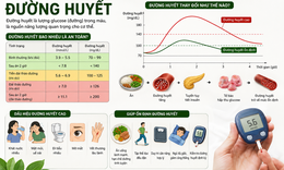 Uống nước lá sung có kiểm soát được đường huyết?