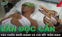 Bị rắn độc cắn, người đàn ông 52 tuổi tức giận vác cuốc đuổi đánh