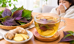 Bị cảm lạnh uống nước lá tía tô với gừng có tốt không?