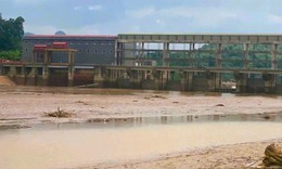 Làm rõ nguyên nhân hạ mực nước sông đột ngột khiến gần 10 tấn cá nuôi chết