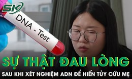 Xét nghiệm ADN để hiến tủy cứu mẹ, người phụ nữbàng hoàng phát hiện sự thật