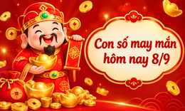 Con số may mắn hôm nay 8/9 - số cát lành - số tài lộc 12 con giáp theo tuổi