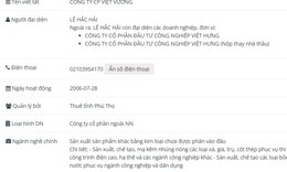 Công ty Cổ phần Việt Vương vi phạm chứng khoán