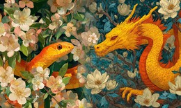 Tử vi 12 con giáp hôm nay 8/9: Dần biến động, Tuất nhiều đột phá