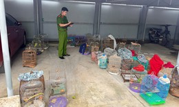 Phát hiện nam thanh niên đi ô tô bán nhiều chim hoang dã ở chợ