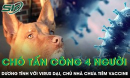 Chó tấn công, 4 người ở Đắk Lắk dương tính với virus dại