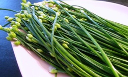 Mùa xuân nên ăn rau hẹ