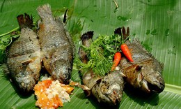 Cá rô đồng làm thuốc