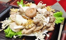 Lợi &#237;ch tuyệt vời đối  với sức khoẻ của nấm
