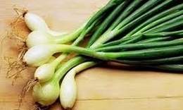 Củ hành, vị thuốc đa năng