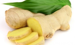 Gừng trị bệnh tiết niệu, t&#234; thấp