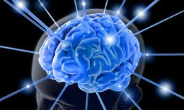 Tái tạo bộ não trên máy tính điện tử