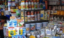 Kiểm tra phụ gia thực phẩm trên diện rộng