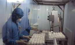 Việt Nam sắp sản xuất vắc-xin c&#250;m A/H5N1