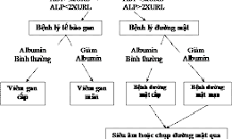 Lợi &#237;ch của x&#233;t nghiệm chức năng gan