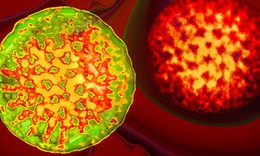Vaccin chống Rotavirus gi&#225; 1 USD