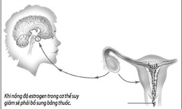 C&#243; n&#234;n bổ sung estrogen để trẻ m&#227;i kh&#244;ng gi&#224;?