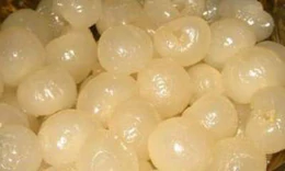 Thực phẩm khắc phục hội chứng tắt dục ở quý ông