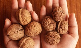 Thực phẩm cho rối loạn chức năng t&#236;nh dục