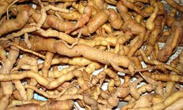 Ba k&#237;ch tăng sức mạnh đ&#224;n &#244;ng