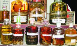 Rượu thuốc bổ dương cường tinh 