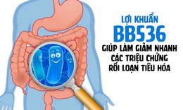 Vai tr&#242; của lợi khuẩn BB536 trong việc hỗ trợ giảm c&#225;c triệu chứng rối loạn ti&#234;u h&#243;a