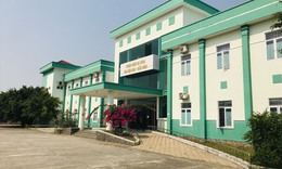 Vì sao Quảng Nam đưa 4 du khách người Anh ra Đà Nẵng?