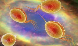 Nguyên nhân gây tiết dịch ở “cậu nhỏ”
