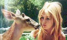 Brigitte Bardot, từ si&#234;u sao bu&#244;ng thả đến biểu tượng bảo vệ động vật