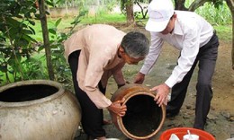 Sốt xuất huyết gia tăng tại Tiền Giang: &#208;ừng để “mất b&#242; mới lo l&#224;m chuồng”