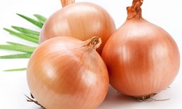 Thuốc từ củ hành tây