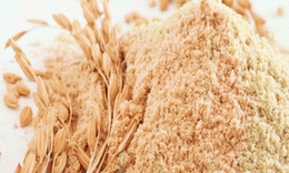 C&#225;m gạo với tinh chất qu&#253; &#237;t người biết