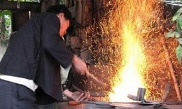 Lửa hồng Ph&#250;c Sen
