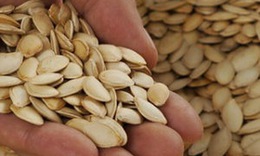 Thuốc từ hạt, vỏ, lá và hoa bí đao