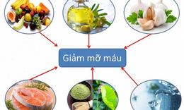 Cần l&#224;m g&#236; khi bị rối loạn mỡ m&#225;u?