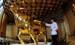 Ngôi làng "trong mơ": người dân ở biệt thự, lái xế sang