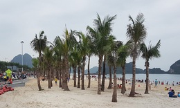 Quảng Ninh hạn chế tập trung đông người tại các bãi tắm